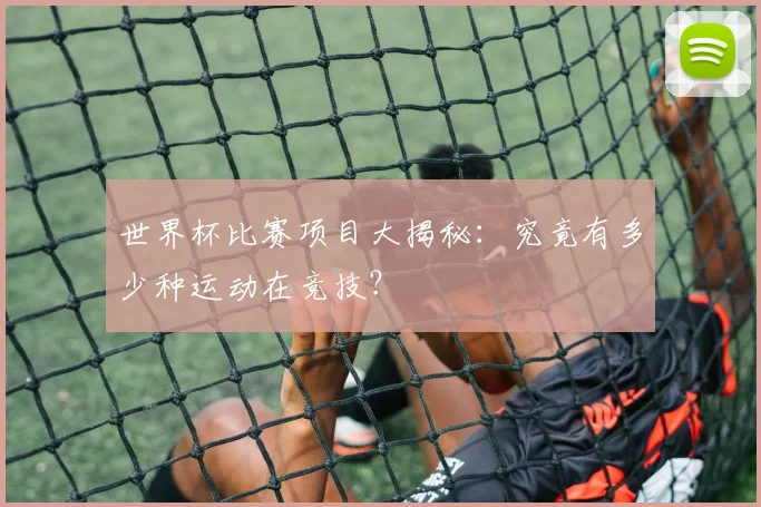 世界杯比赛项目大揭秘：究竟有多少种运动在竞技？