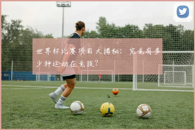 世界杯比赛项目大揭秘：究竟有多少种运动在竞技？