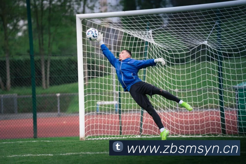 爱游戏全站app官网入口APP 封面图